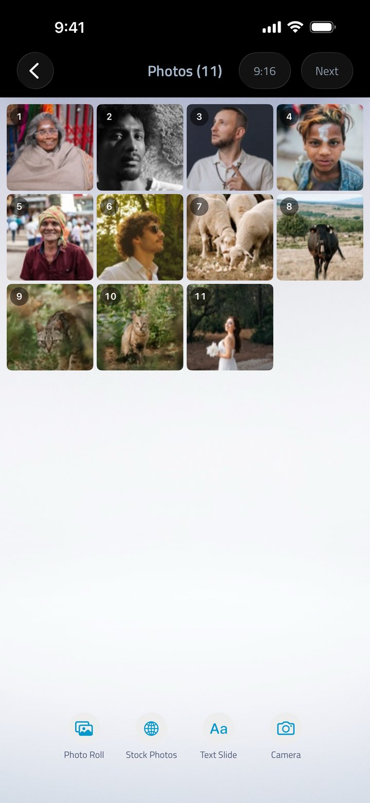 Fliptastic showing eleven photos automatically selected by AI Auto-Create